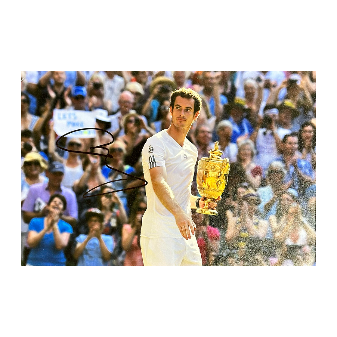 Andy Murray Signed 12x8 Image