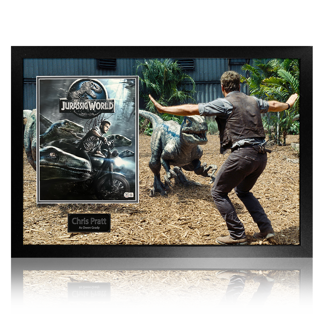 Chris Pratt Signed Jurassic World Image Premium Frame (Beckett)