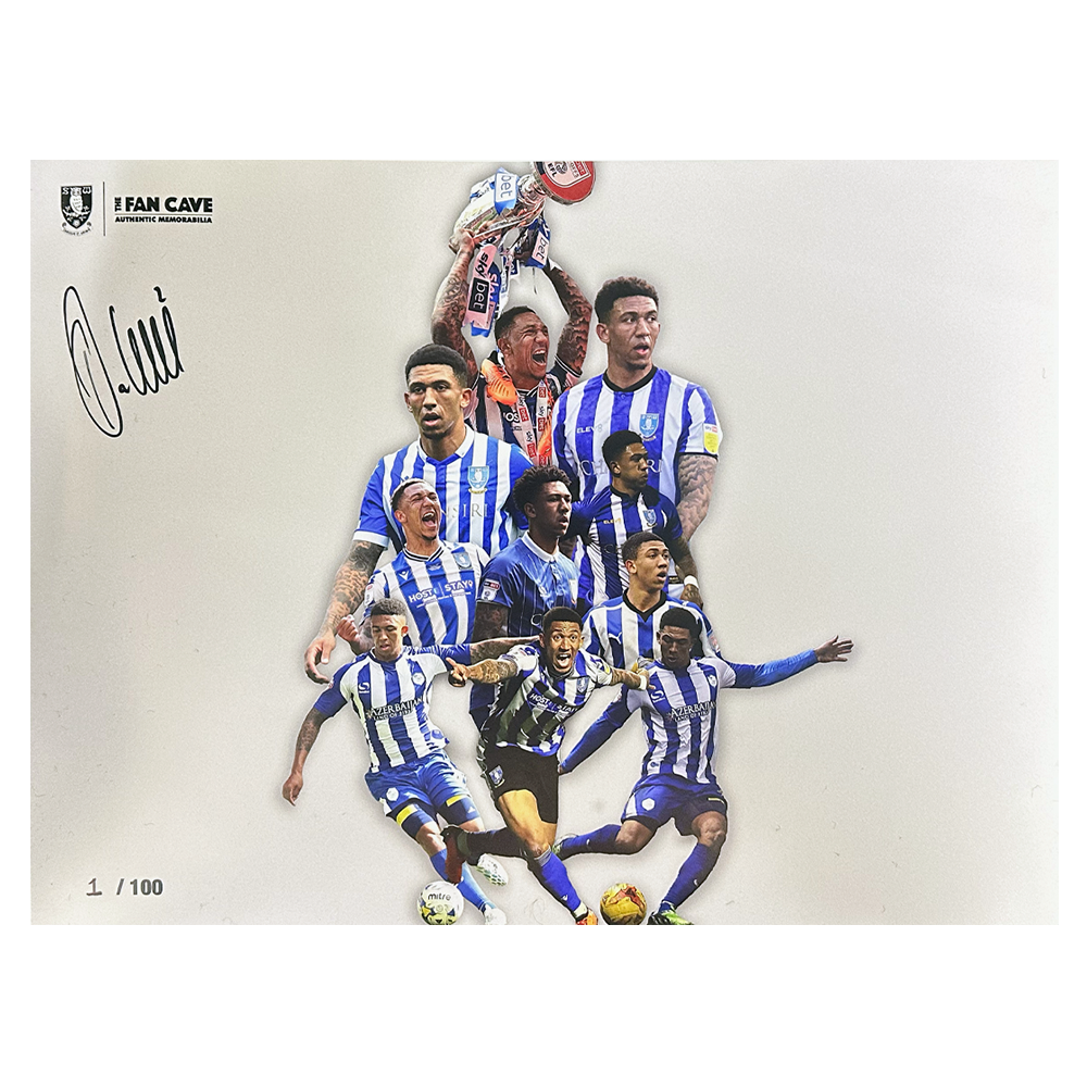 Liam Palmer Signed Limited Edition Sheffield Wednesday Testimonial Print