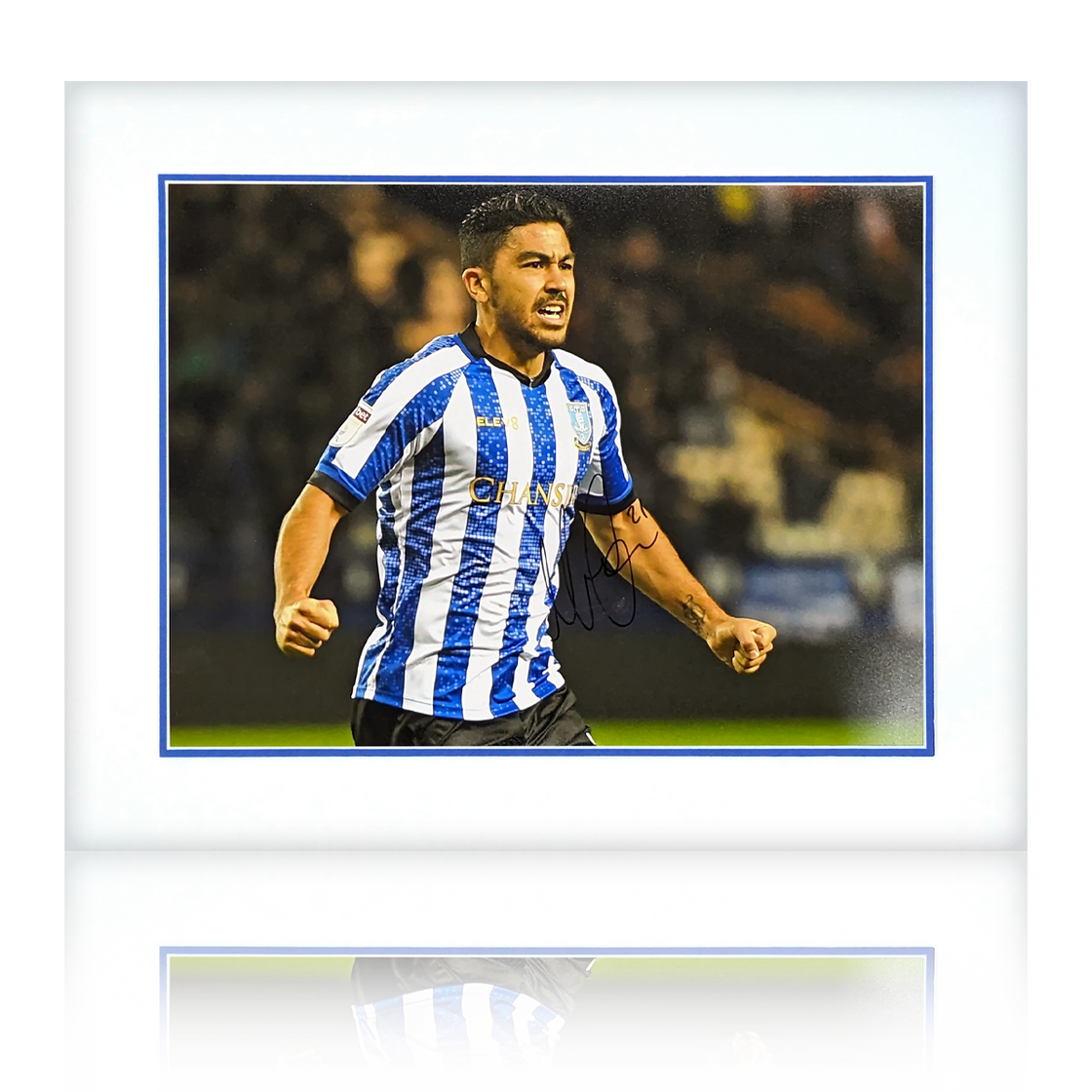 Massimo Luongo Signed Sheffield Wednesday Mount