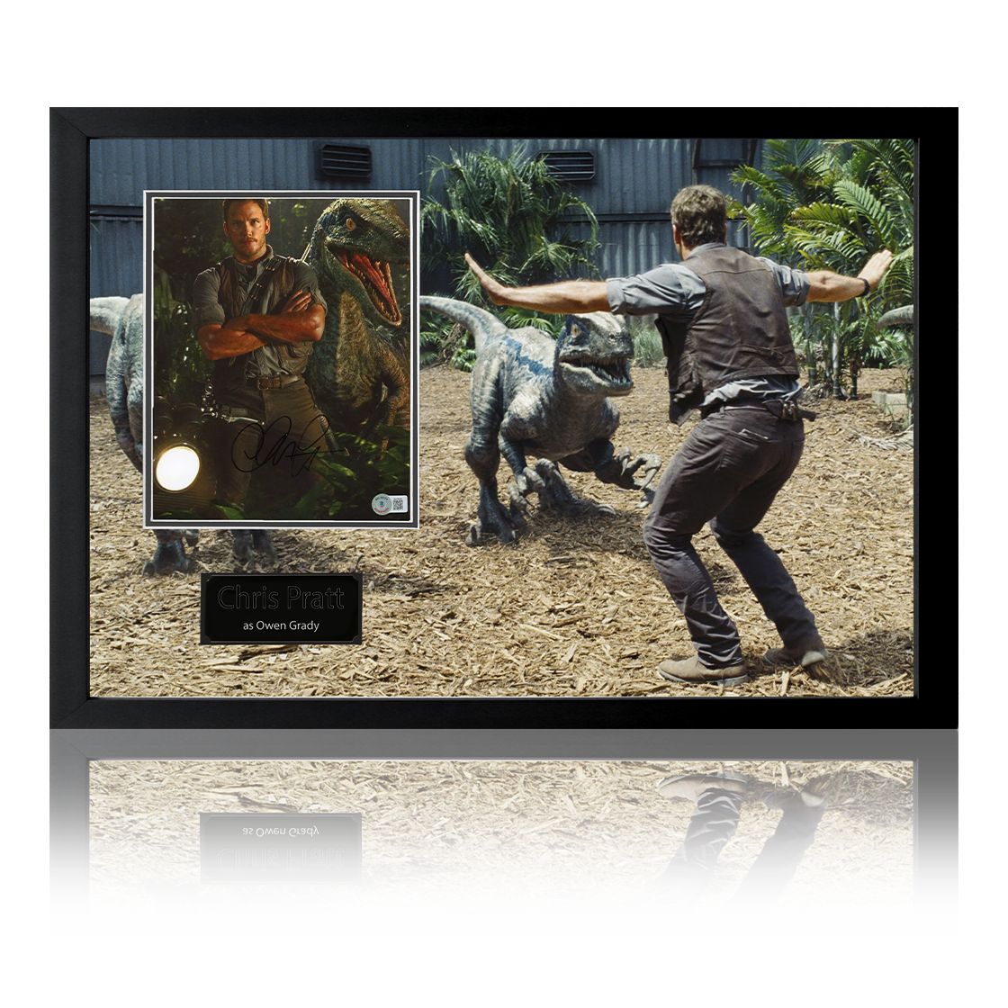 Chris Pratt Signed Jurassic World Image Iconic Frame (Beckett)