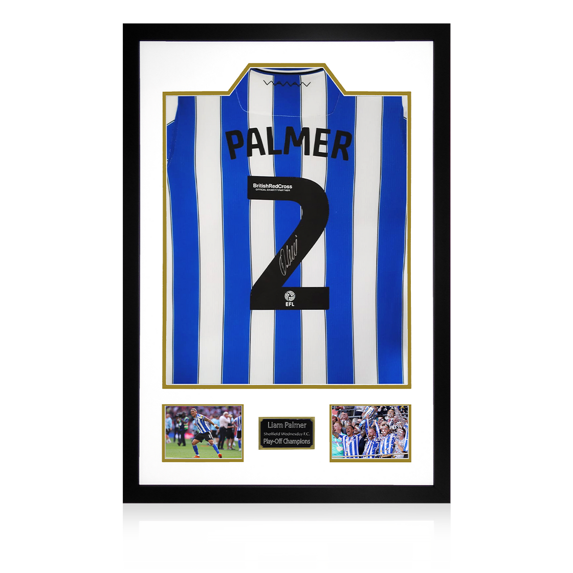 Liam Palmer Signed SWFC Play-Off Final Shirt Premium Frame