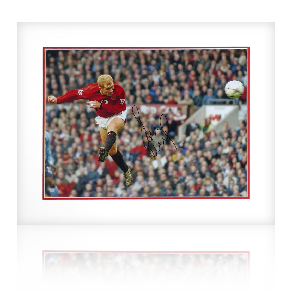 Paul Scholes Signed Manchester United Mount #2