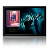 Tom Felton Signed Harry Potter And The Half Blood Prince Iconic Frame ...