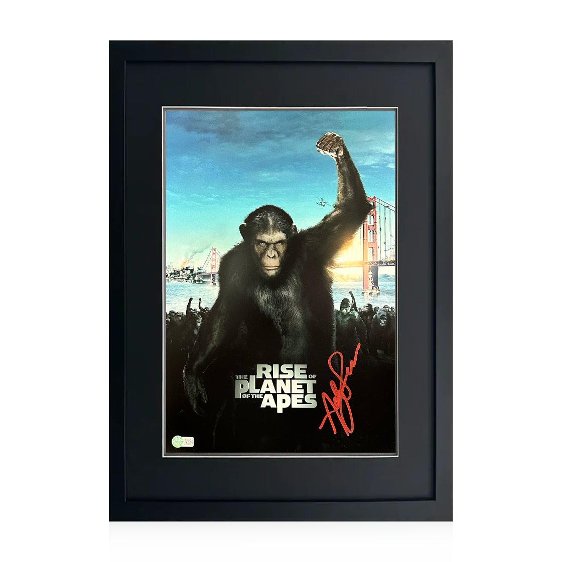 Andy Serkis Signed Rise of the Planet of the Apes 18x12 Image Compact Frame (AFTAL Authenticated)