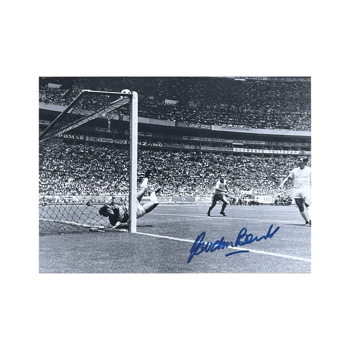 Gordon Banks Signed England 9x6