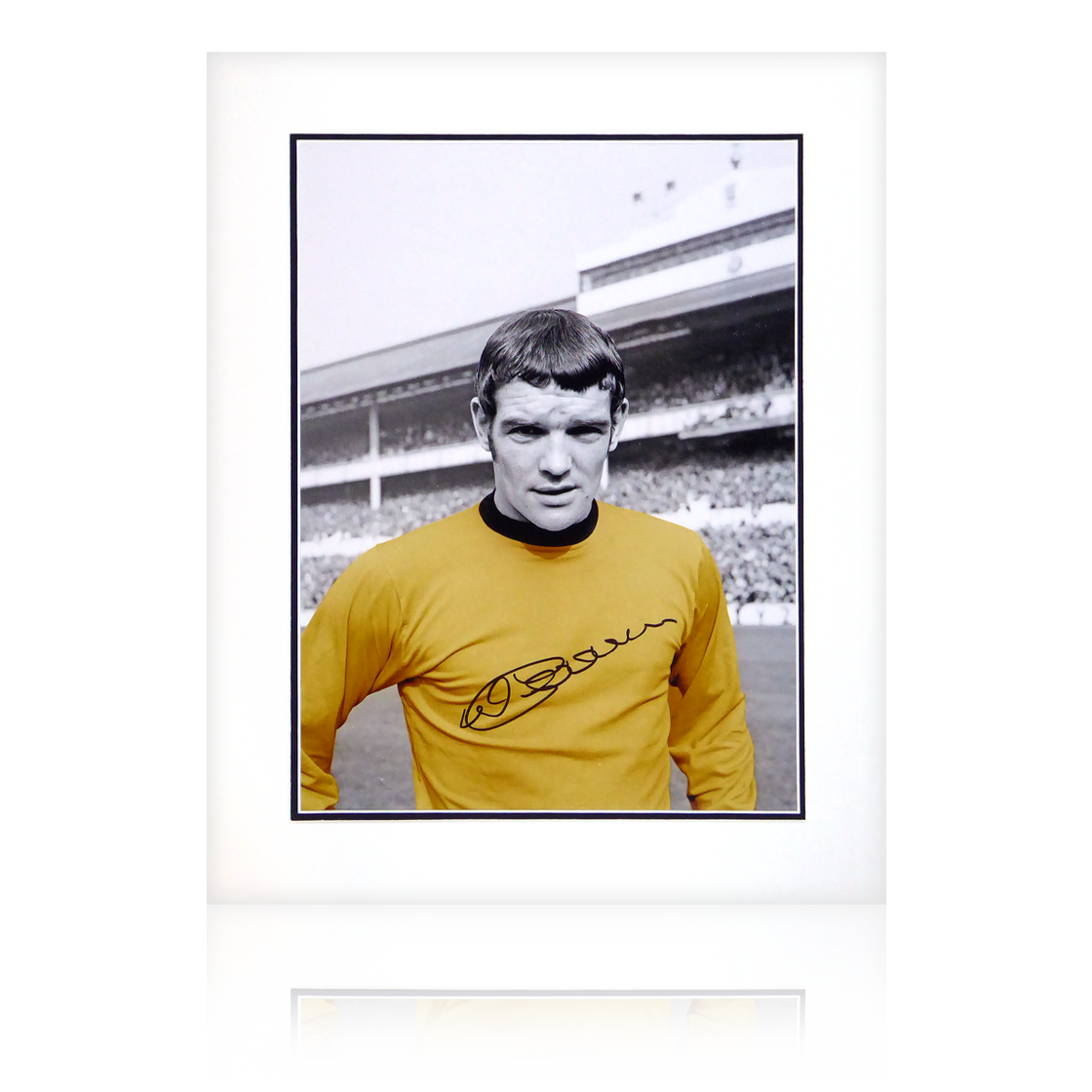 Hugh Curran Signed Wolves Mount