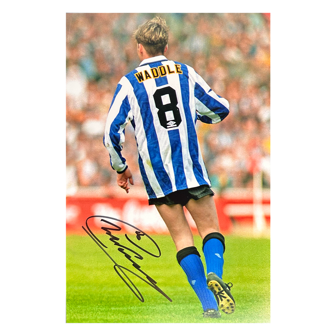 Chris Waddle Signed Sheffield Wednesday 12x8 #2