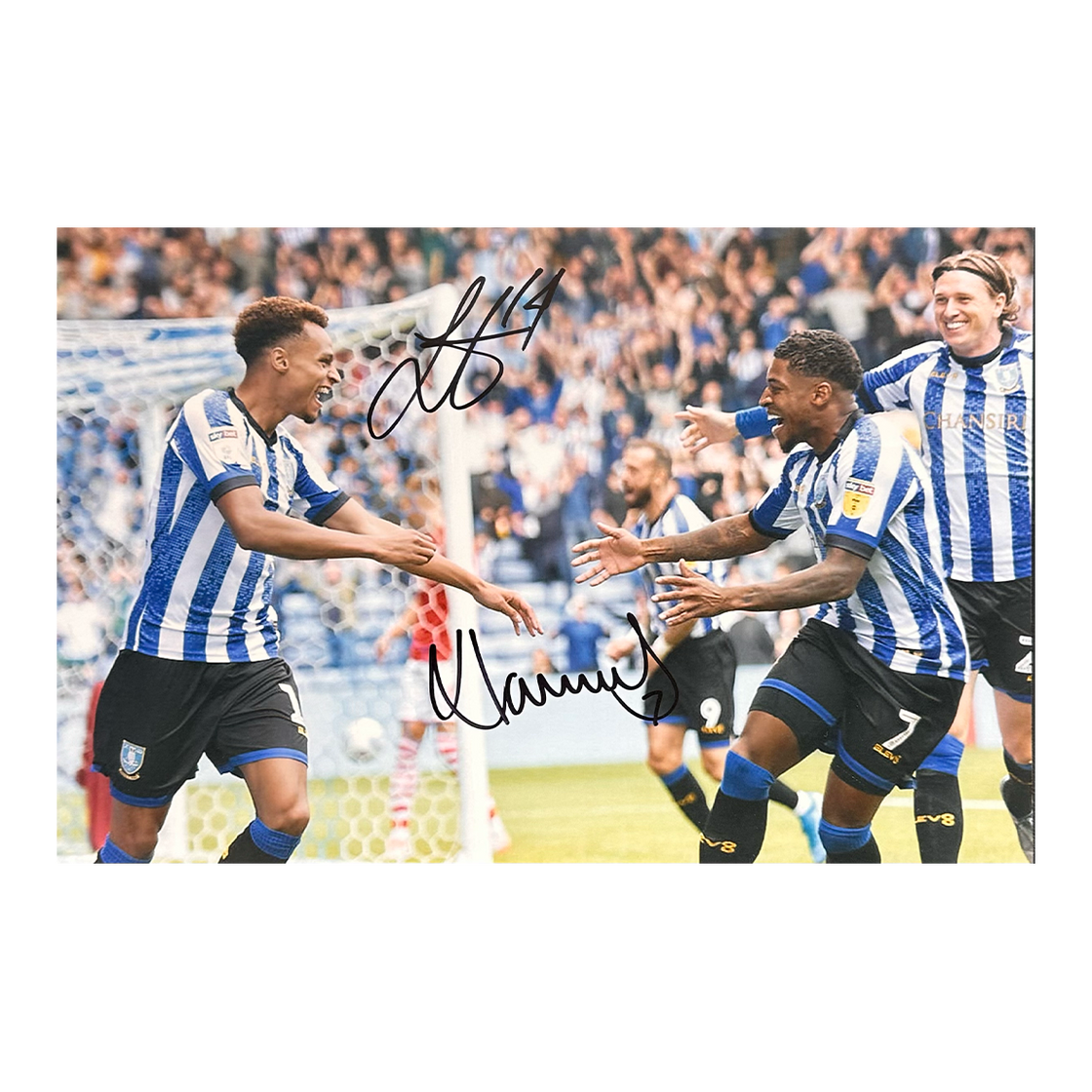 Jacob Murphy & Kadeem Harris Signed Sheffield Wednesday 12x8 #2