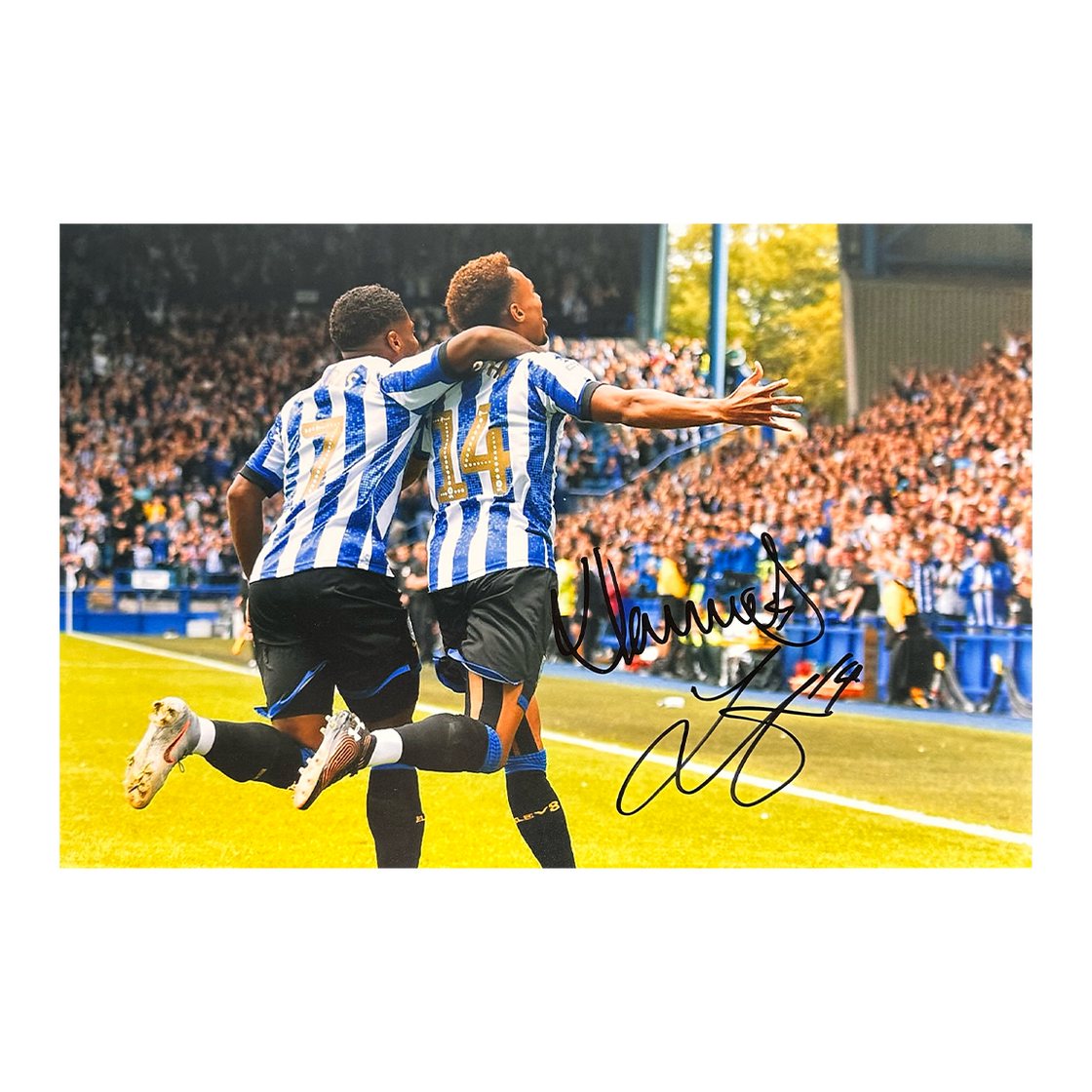 Jacob Murphy & Kadeem Harris Signed Sheffield Wednesday 12x8 #1