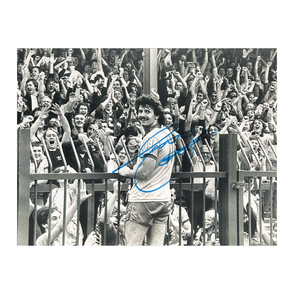 Terry Curran Signed Sheffield Wednesday 16x12